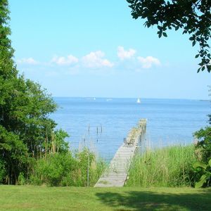 Meet your Posher, Janet